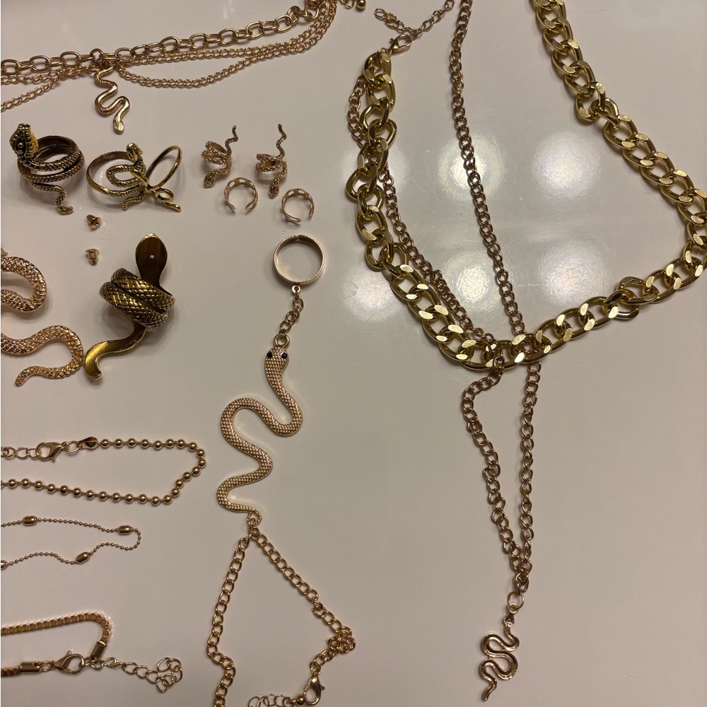 Gold/Snake Jewelry